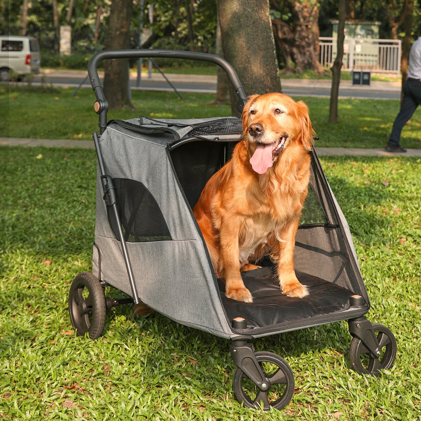 chien assis dans poussette à chien LargePetStroller