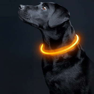 Collier Chien - DogCollarLight™ - Orange - Chien Sympa