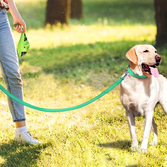 femme balade chien portant laisse pour chien ErgoPro
