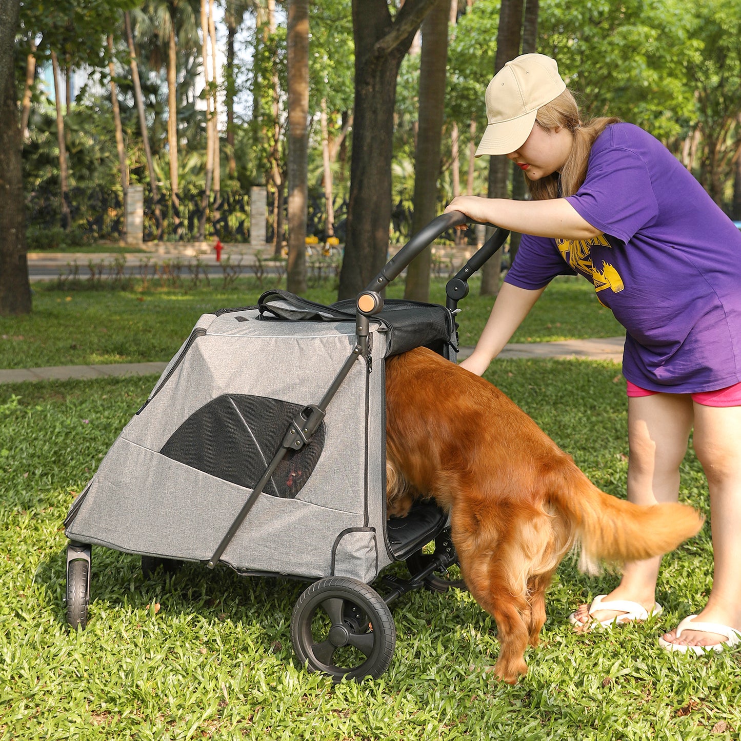 fille invite chien dans poussette à chien LargePetStroller après balader dans la forêt