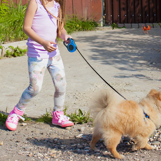 fillette balade chien portant laisse pour chien FreedomFlex