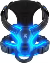 Harnais chien Ă LED -variante bleu
