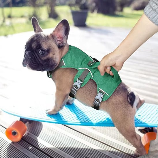 harnais pour chien anti-fuite sur chien avec skateboard