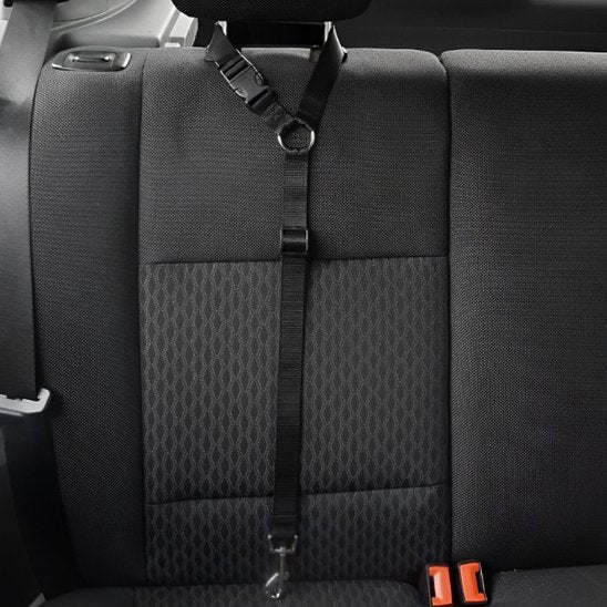 laisse chien sécurité voiture