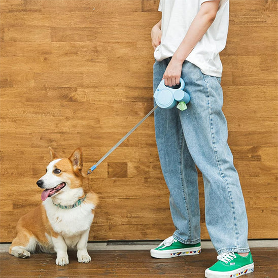 laisse pour chien LED et sac poubelle chien assis controle