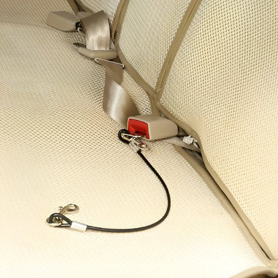 laisse pour chien securité auto