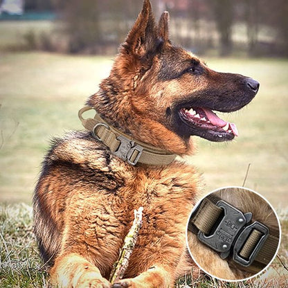 Berger allemand couché portant collier pour chien tactique détails