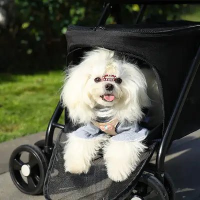 Bichon en bas de la poussette pour Chien - PetStroller™ - noir 
