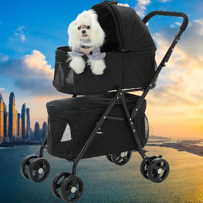 Bichon Maltais dansPoussette pour Chien - PetStroller™ - Noir 