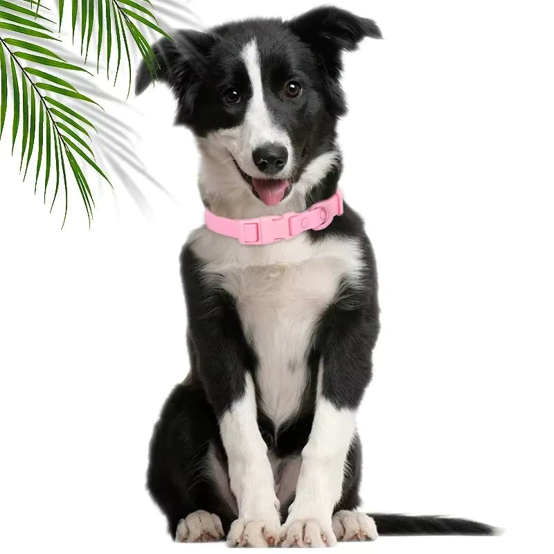 Border Collie portant collier chien FancyDog rose