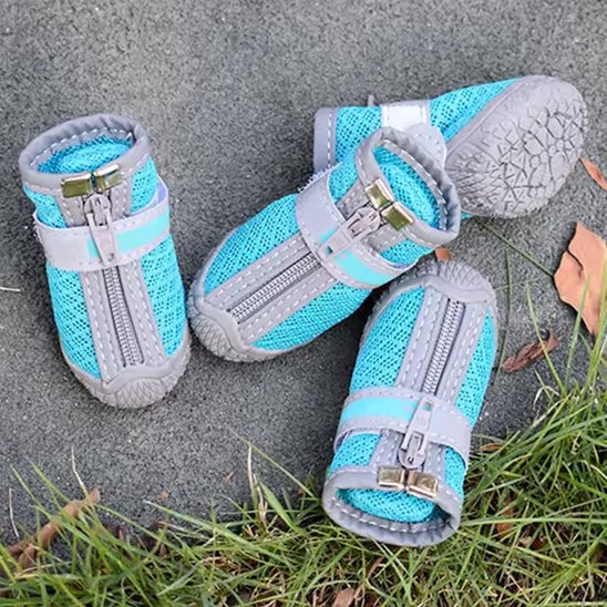 chaussure chien Protect4Saisons dans l'herbe