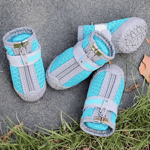 chaussure-chien-protect4saisons-gif