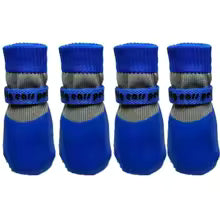  chaussure pour hien imperméable-bleu