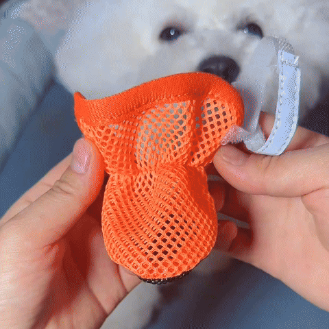 chaussures-chien_-protection-tout-terrain-gif