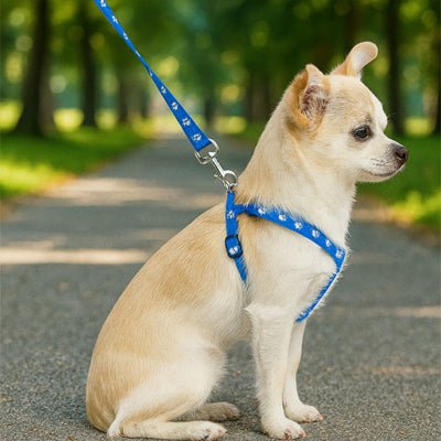 chien assis à l'hombre portant harnais chien imprimé pattes bleu