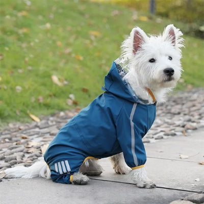 Chien assis portant manteau pour chien imperméable et réfléchissant bleu