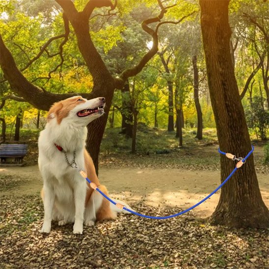 chien attaché arbre portant laisse double pour chien