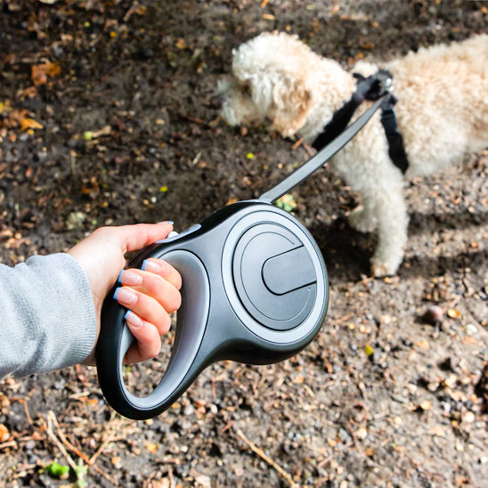 chien au pied portant laisse pour chien enrouleur