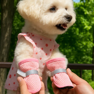 Chien avec Chaussure  Chien Protection Tout-Terrain rose