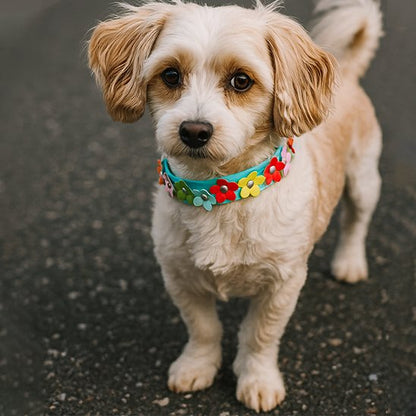 Chien avec collier pour chien fleurs