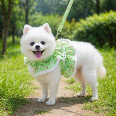 chien avec harnais petit chien fleuri-vert