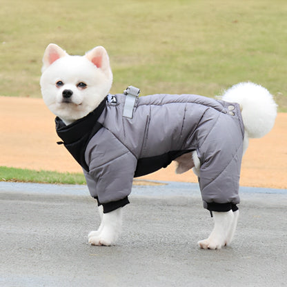 Chien avec manteau  chien imperméable Confort-gris