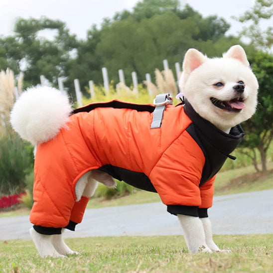 Chien avec manteau chien imperméable Confort orange