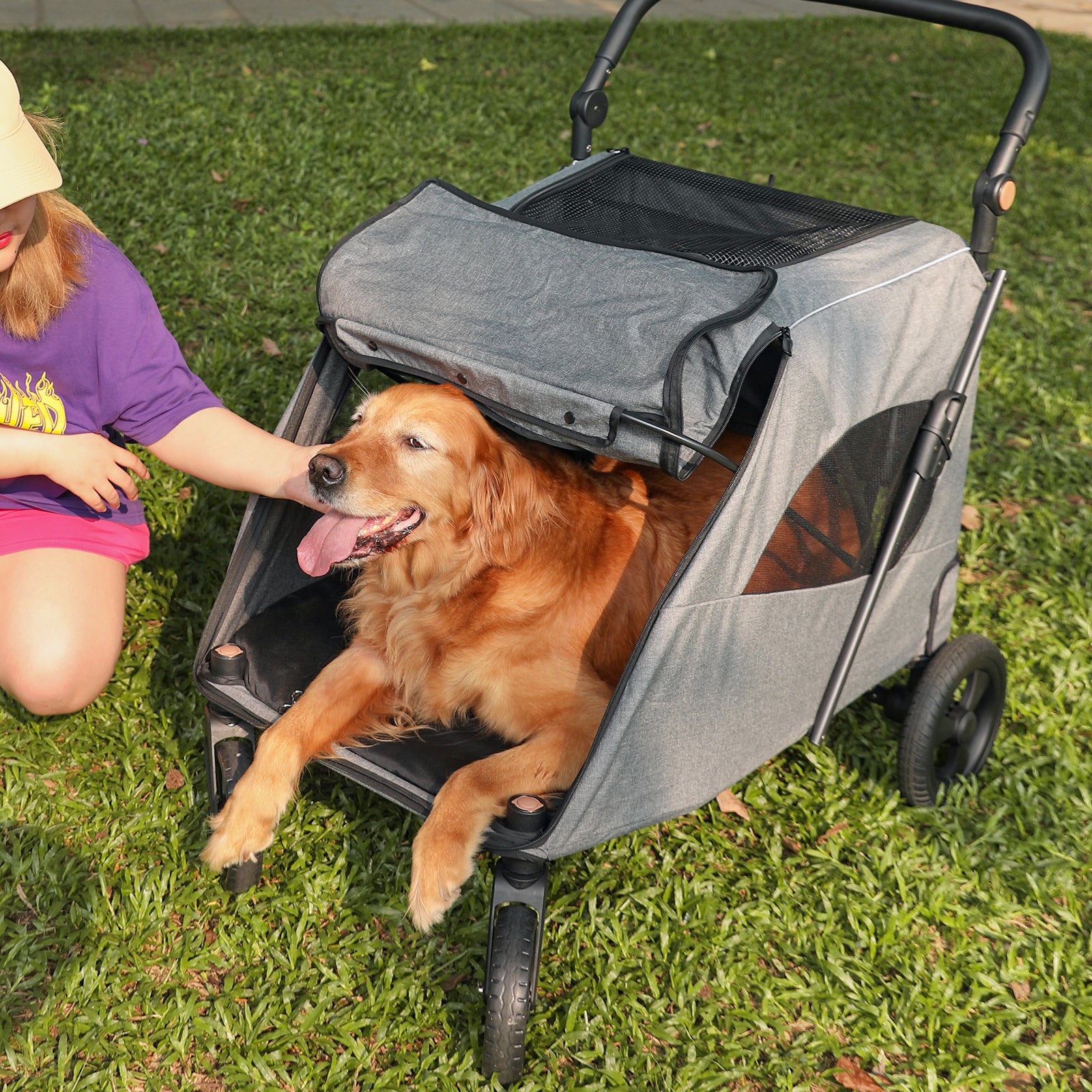 chien couché dans poussette à chien LargePetStroller