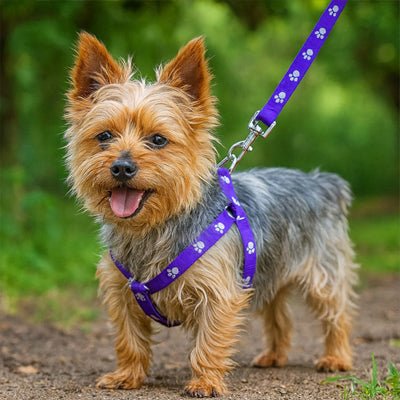 chien debout dans le parc portant harnais chien imprimé pattes violet