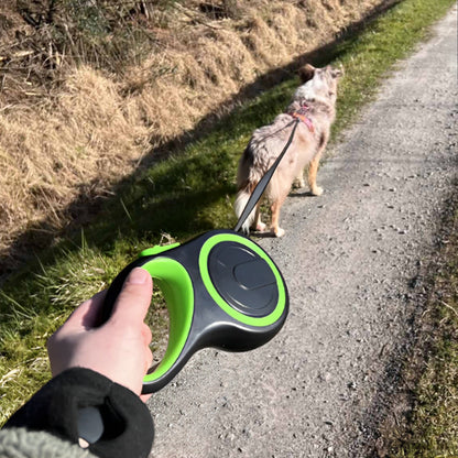 chien en marche portant laisse pour chien enrouleur