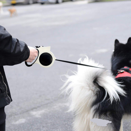 chien portant laisse enrouleur eclarée-balade ville