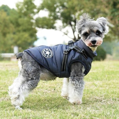 
Chien portant manteau chien imperméable harnais integré marine