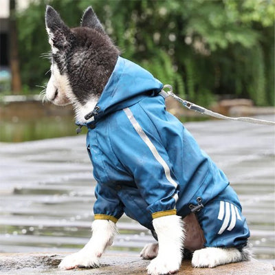 Chien portant manteau pour chien imperméable et réfléchissant-bleu