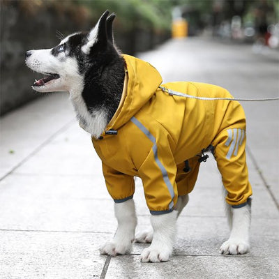 Chien portant manteau pour chien imperméable et réfléchissant jaune