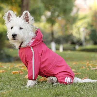 Chien portant manteau pour chien imperméable et réfléchissant rose