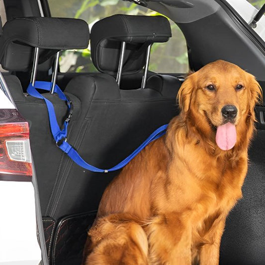 chien roux assis  portant laisse chien sécurité voiture

