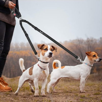 chiens en balade portant double laisse pour chien anti-enchevêtrement
