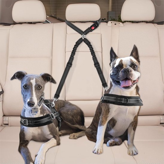 chiens en voiture portant double laisse pour chien anti-enchevêtrement
