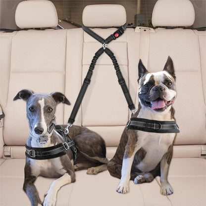 chiens en voiture portant double laisse pour chien anti-enchevêtrement
