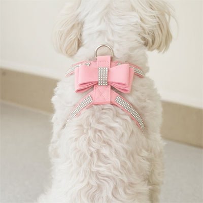 chiot avec harnais rose