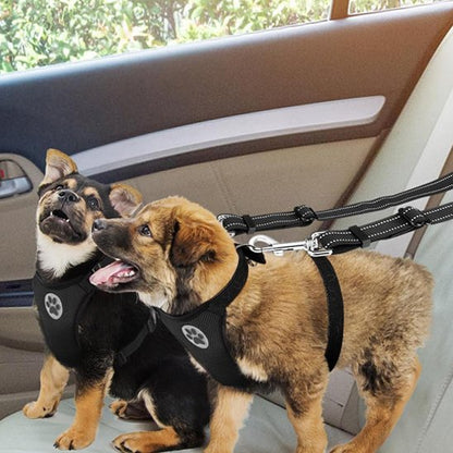 chiots en voiture portant double laisse pour chien anti-enchevêtrement

