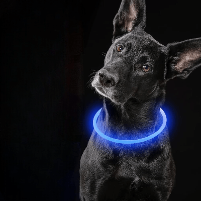 Collier Chien - DogCollarLight™ - Bleu 