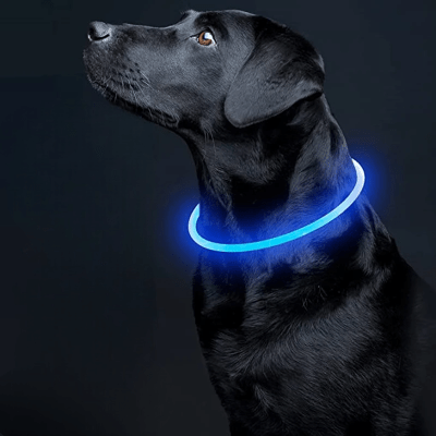 Collier Chien - DogCollarLight™ - Bleu 