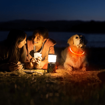 Collier Chien - DogCollarLight™ - Jaune