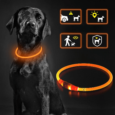Collier Chien - DogCollarLight™ - Orange - Chien Sympa