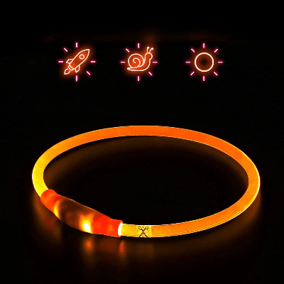 Collier Chien - DogCollarLight™ - Orange - Chien Sympa