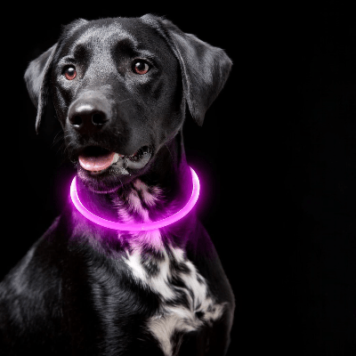 Collier Chien - DogCollarLight™ - Rose 