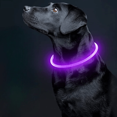 Collier Chien - DogCollarLight™ - Rose 
