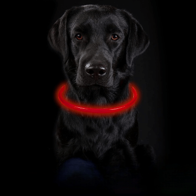 Collier Chien - DogCollarLight™ - Rouge 