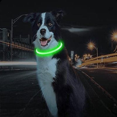 Collier Chien - DogCollarLight™ - Vert 
